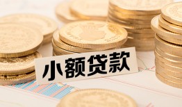 成都周转哪里有小额贷款-成都周转身份证贷款平台-成都周转民间短借